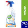 Spray Κουζίνας Power & Pure Dettol 500+250 ml δώρο