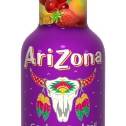 Χυμός Fruit Punch Arizona (500 ml)