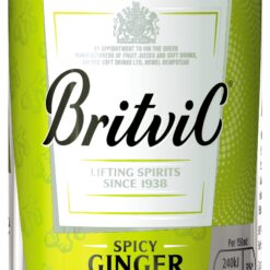 Αναψυκτικό Ginger Ale Britvic (150 ml)