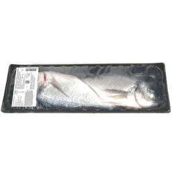 Τσιπούρα Νωπή 2τεμ Select Fish (ελάχιστο βάρος 800g)