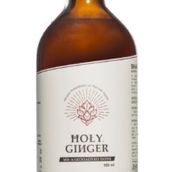 Χυμός ginger με λεμόνι και μέλι Holy Ginger (500 ml)