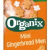 Βιολογικά Μπισκότα Ολικής Gingerbread Organix (5x20g)