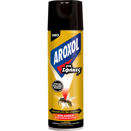 Εντομοκτόνο Spray για Σφήκες Aroxol (300ml)