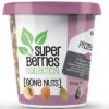 Μιξ ξηρών καρπών Super Berries Collection Go Nuts Protein (150g)