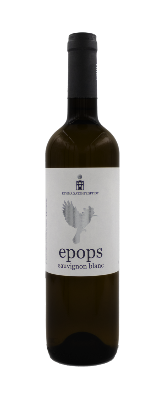 Οίνος Λευκός Sauvignon Blanc Κτήμα Χατζηγεωργίου 2023 (750ml)