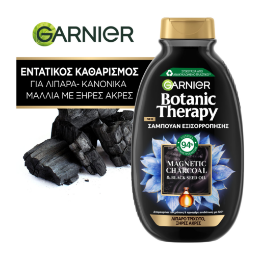 Σαμπουάν Εξισρρόπησης με Ενεργό Άνθρακα Botanic Therapy Garnier (400ml)