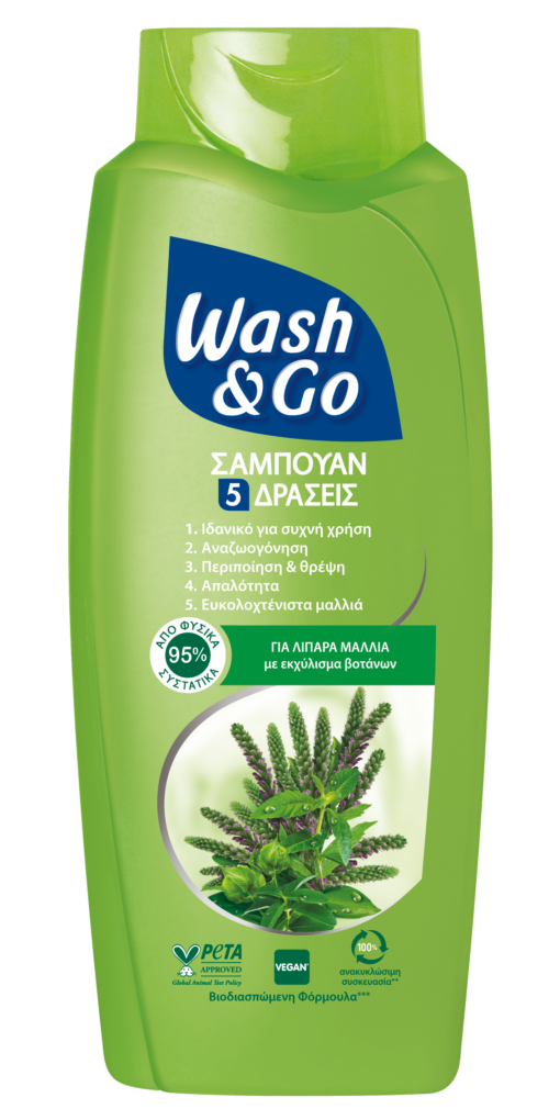 Σαμπουάν για Λιπαρά Μαλλιά Wash & Go (650 ml)