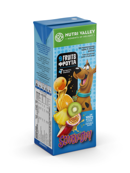 Χυμός 9 Φρούτα Scooby Doo Nutri Valley (250 ml)